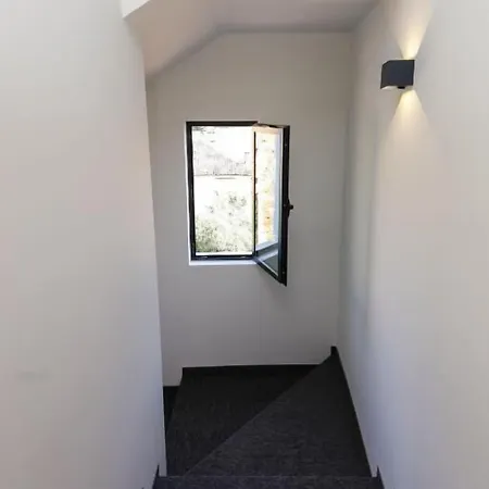 Hotel N Center By Noshi 4*