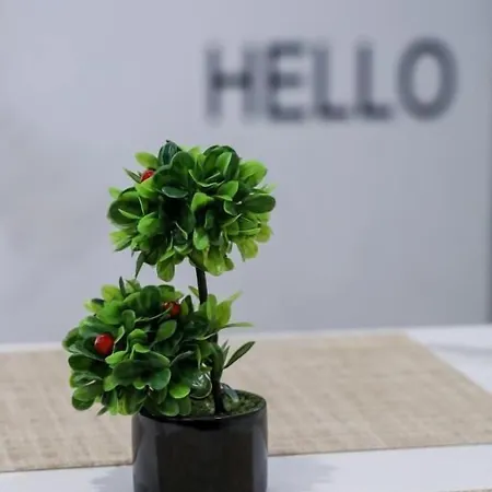 N Center By Noshi Tirana