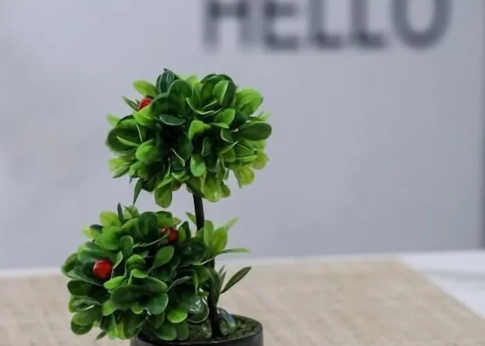 N Center By Noshi 티라나